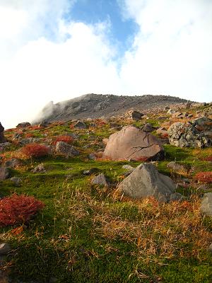 茶臼山頂.JPG